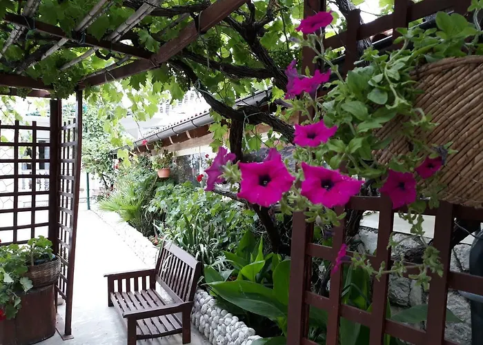 San Lorenzo 4* Lopar